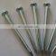 Electro Galvanized Concrete Nails/Steel Nails