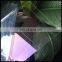 High transparency AR coating glass with EN12150 certificate