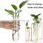 Hydroponics Clear Planter Nordic Style Test Tube Vase with Metal Stand