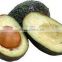 virgin avocado oil body massage anti-aging moisturizing /chemical material