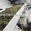 Continuous Mesh belt fruit and vegetable Dryer Machine for good price