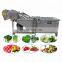 Automatic Commercial Industrial Apple Ginger Carrot Potato Fruit Vegetable Washing Machine