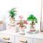 Hot Selling Christmas Gift Plastic Pots Hydroponics Planter Plant Plants Planters Indoor Self Watering Transparent Flower Pot