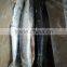 2015 Hung Frozen Spanish Mackerel Whole Gutted