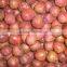 frozen lychee