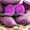 wholesale quick frozen Purple Sweet Potato