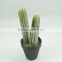 Newest designed artificial cactus plant bonsai