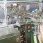High output high accuracy longan power packaging machine