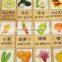 Kids early learning wooden crops domino block toys