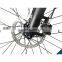 2016 Chinese fat bike new painting carbon fatbike complete SN01 with Maxxi tire 26*4.8 tire