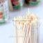Disposable Pocket Toothpicks