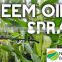 Organic Pure / Natural Neem Seed Oil ; Neem Kernel Oil for Sales