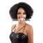 Afro kinky curly full lace wig for black women