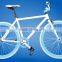 26 inch fixie bike / single speed bicycles / bike fixed gear / colorfur fixie bike