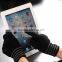 Winter Ipad touch screen gloves