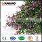 plastic artificial hedge privacy screen ivy fence for garden                        
                                                                                Supplier's Choice
