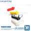 Security plastic label tag with lanyard for shoes