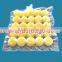 2015 HDPE supermaket Promotional ice cube bags