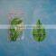 Plastic Sushi decorative green leaf