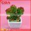 Emulate succulent plants tropical plants small bonsai home decoration Plastic emulation succulent plant
