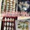 2015 Best selling Stainless Steel automatic dumpling cutter / dumpling making machine