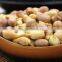 Supply Roasted Peanut in shell with good Quality