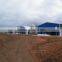 QDXR-4H-4-240 plan H type automatic chicken layer rasing farm shed