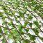high quality wholesale garden artificial leaf fence