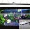 New freshwater light of DSunY dimmable programmable led aquarium light fast growth/vivid color/ slow accommodation with 2 panels