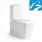 CE Certified Washdown Two Piece Toilet