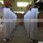 Elegant Decorative wedding walkway pillar for flower stand