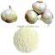 Dehydrated Garlic Powder from Factory