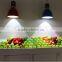 best seller high-end products factory price 20w led fresh light for supermarket light