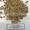 Coffee Bean - agroviet@hotmail.com