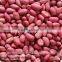 Chinese HACCP Certification long type blanched red skin peanut kernels