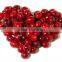 Cranberry Fruit Extract Powder from GMP Certified Factory