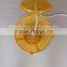 Chinese factory plastic bait cages for fishing