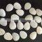 teardrop chinese freshwater mother of pearl shell chips