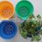 blue yellow purple plastic plant flower pot