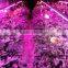 Promotional Products 20w 4ft Full Spectrum Cheap Led Grow Lights