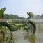 SJ20178872 hot sale manufacturer artificial girls hot animal topiary