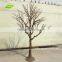 GNW WTR1103 Large white fiberglass trunk wood branches for decoration