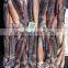 Frozen illex squid whole round