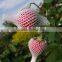 SGS Certificate Flower plastic mesh netting for flowers