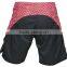 MMA Shorts