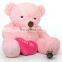 300cm Huge Stuffed Plush Pink Teddy Bear With Heart Custom Pretty Soft Plush Valentine Gift Big Giant Teddy Bear