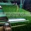 Color coated steel coil PPGI sheet in coil for Roofing Building