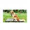 Raised Pet Foldable Outdoor Waterproof Elevated Dog Bed