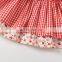 2020 Summer Girls Plaid Dress Sweet Princess Toddler Baby Girl Embroidery Cute Clothing Wholesale