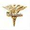 Volunteer Caduceus Wings Lapel Pin Medical Hospital Recognition Volunteers New